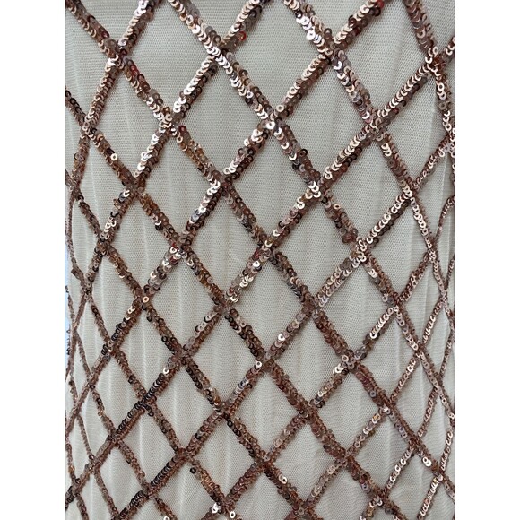 Windsor Women’s Dress Blush Color Body Con Sleeveless Sequined Size Large - Picture 9 of 9